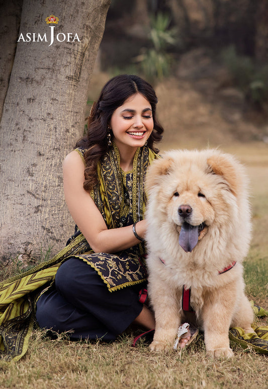 π₯ Asim Jofa Bandora π₯
π Premium Luxury Lawn Collection 2025 π