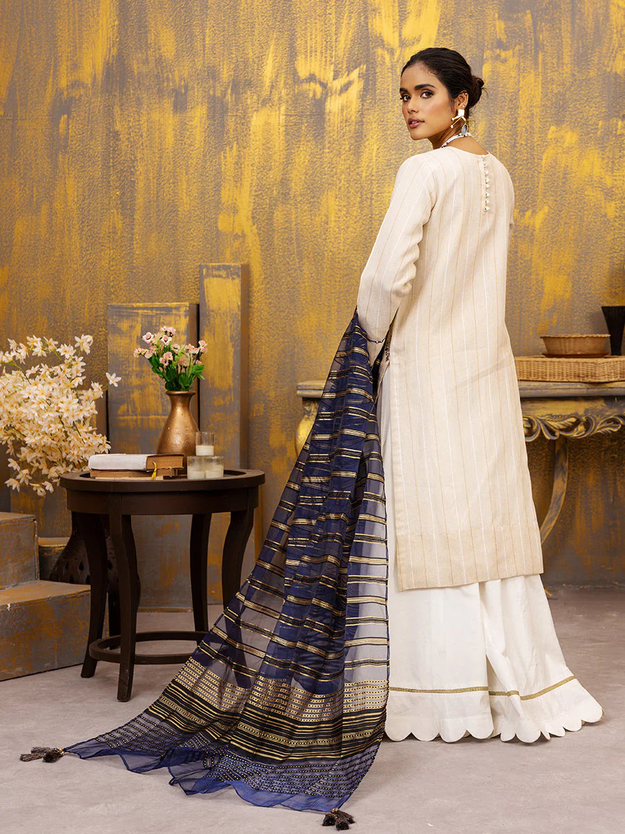 Salitex fancy Base with Zari Orgnaza dupatta 3P WK-01146UT