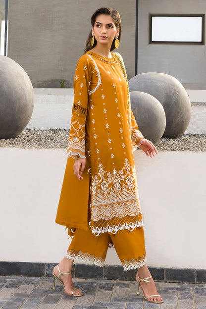 ZELLBURY – Chikankari Collection 🌸
🤎 Soft Brown  🤎