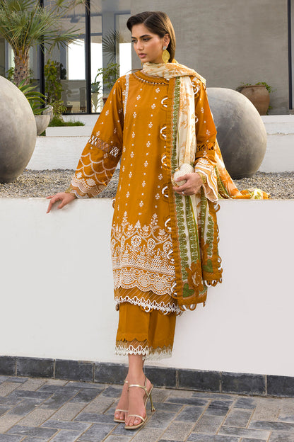 ZELLBURY – Chikankari Collection 🌸
🤎 Soft Brown  🤎