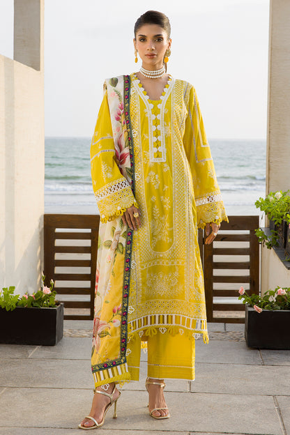 ZELLBURY – Chikankari Collection 🌸
💚 Lime Elegance 💚 🎨 Code: WUC25E30073
