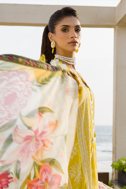 ZELLBURY – Chikankari Collection 🌸
💚 Lime Elegance 💚 🎨 Code: WUC25E30073