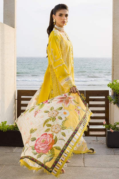 ZELLBURY – Chikankari Collection 🌸
💚 Lime Elegance 💚 🎨 Code: WUC25E30073