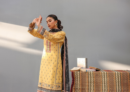 NOOR BANO ORIGINAL LAWN 3P