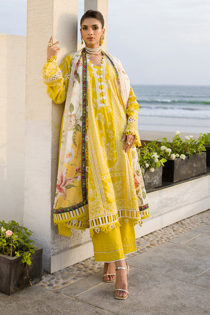 ZELLBURY – Chikankari Collection 🌸
💚 Lime Elegance 💚 🎨 Code: WUC25E30073