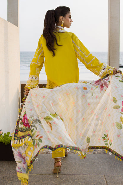 ZELLBURY – Chikankari Collection 🌸
💚 Lime Elegance 💚 🎨 Code: WUC25E30073