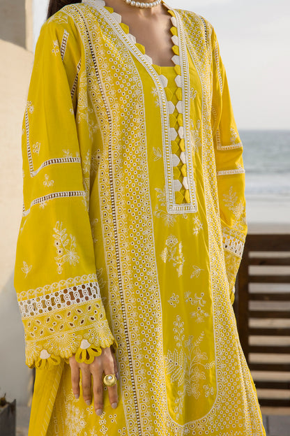 ZELLBURY – Chikankari Collection 🌸
💚 Lime Elegance 💚 🎨 Code: WUC25E30073