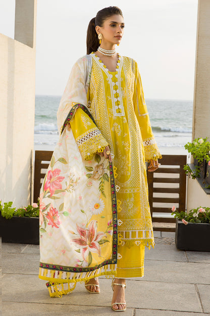 ZELLBURY – Chikankari Collection 🌸
💚 Lime Elegance 💚 🎨 Code: WUC25E30073