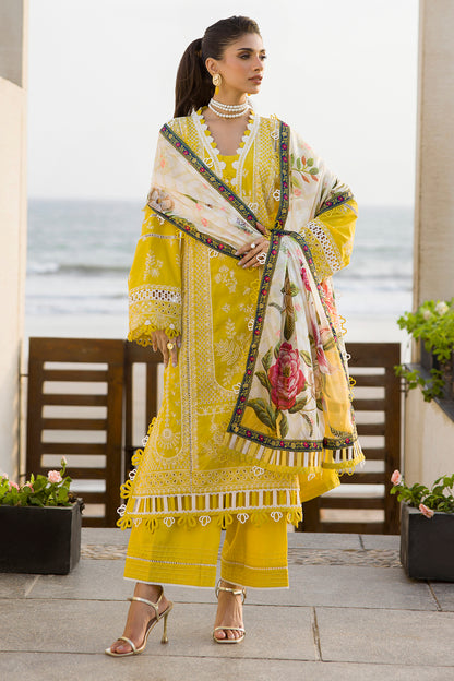 ZELLBURY – Chikankari Collection 🌸
💚 Lime Elegance 💚 🎨 Code: WUC25E30073