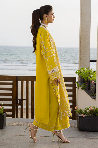 ZELLBURY – Chikankari Collection 🌸
💚 Lime Elegance 💚 🎨 Code: WUC25E30073