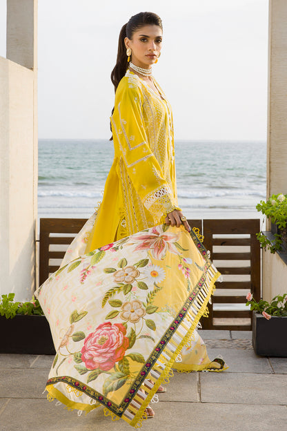 ZELLBURY – Chikankari Collection 🌸
💚 Lime Elegance 💚 🎨 Code: WUC25E30073