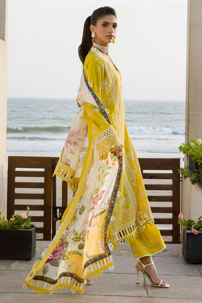 ZELLBURY – Chikankari Collection 🌸
💚 Lime Elegance 💚 🎨 Code: WUC25E30073