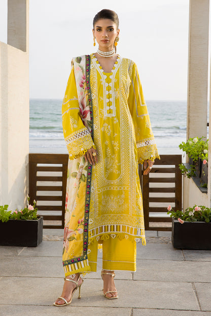 ZELLBURY – Chikankari Collection 🌸
💚 Lime Elegance 💚 🎨 Code: WUC25E30073