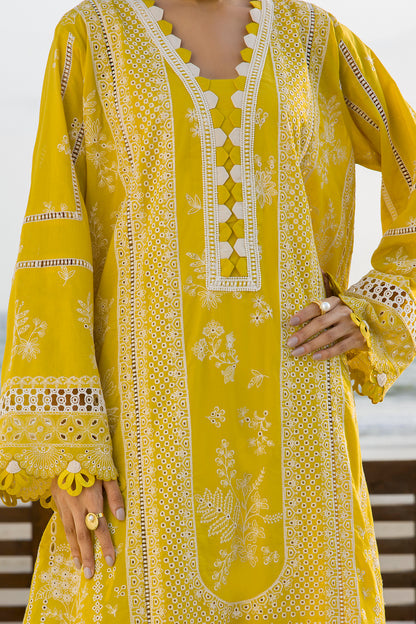 ZELLBURY – Chikankari Collection 🌸
💚 Lime Elegance 💚 🎨 Code: WUC25E30073