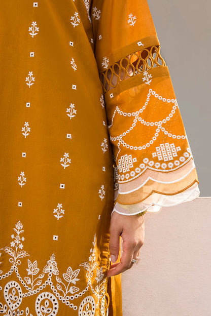 ZELLBURY – Chikankari Collection 🌸
🤎 Soft Brown  🤎