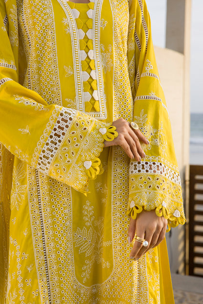 ZELLBURY – Chikankari Collection 🌸
💚 Lime Elegance 💚 🎨 Code: WUC25E30073