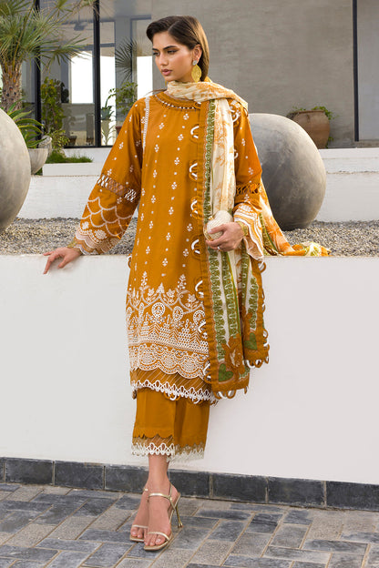 ZELLBURY – Chikankari Collection 🌸
🤎 Soft Brown  🤎