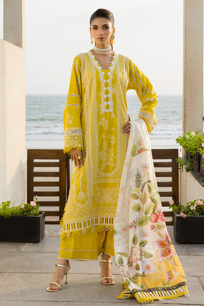ZELLBURY – Chikankari Collection 🌸
💚 Lime Elegance 💚 🎨 Code: WUC25E30073